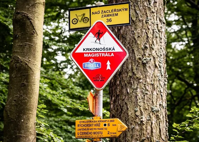 V Zacleri Krkonose